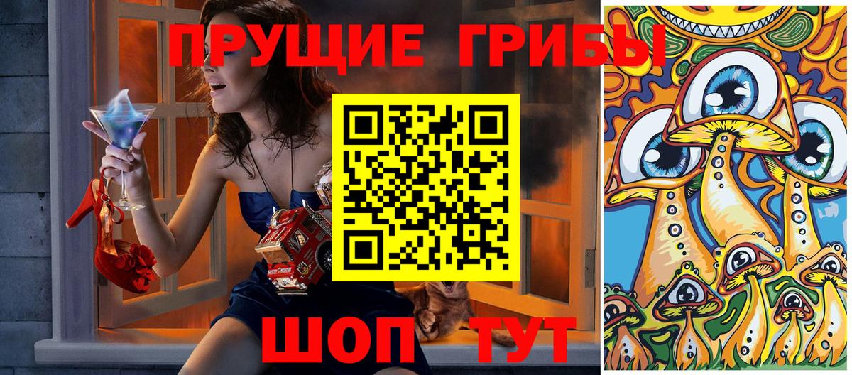 Псилоцибиновые грибы ЛСД  Вход с VPN  Краснокамск  Псилоцибиновые грибы GOLDEN TEACHER 